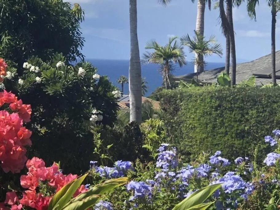 Cloud 9 Beach House - Private Pool, Walk To Beach Wailea  United States